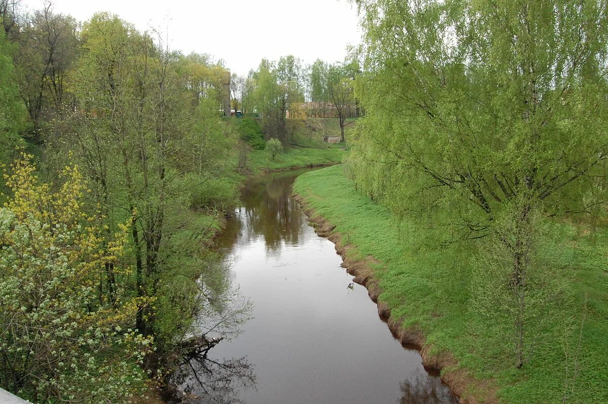 Река охта фото Файл:Okhta River in Murino 15May10.JPG - Википедия