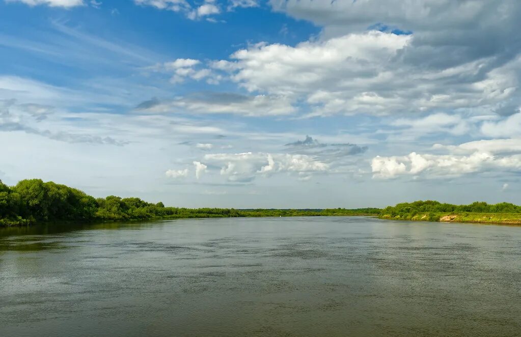 Река ока фото Oka River 11 Oka River Ока Alexxx Malev Flickr