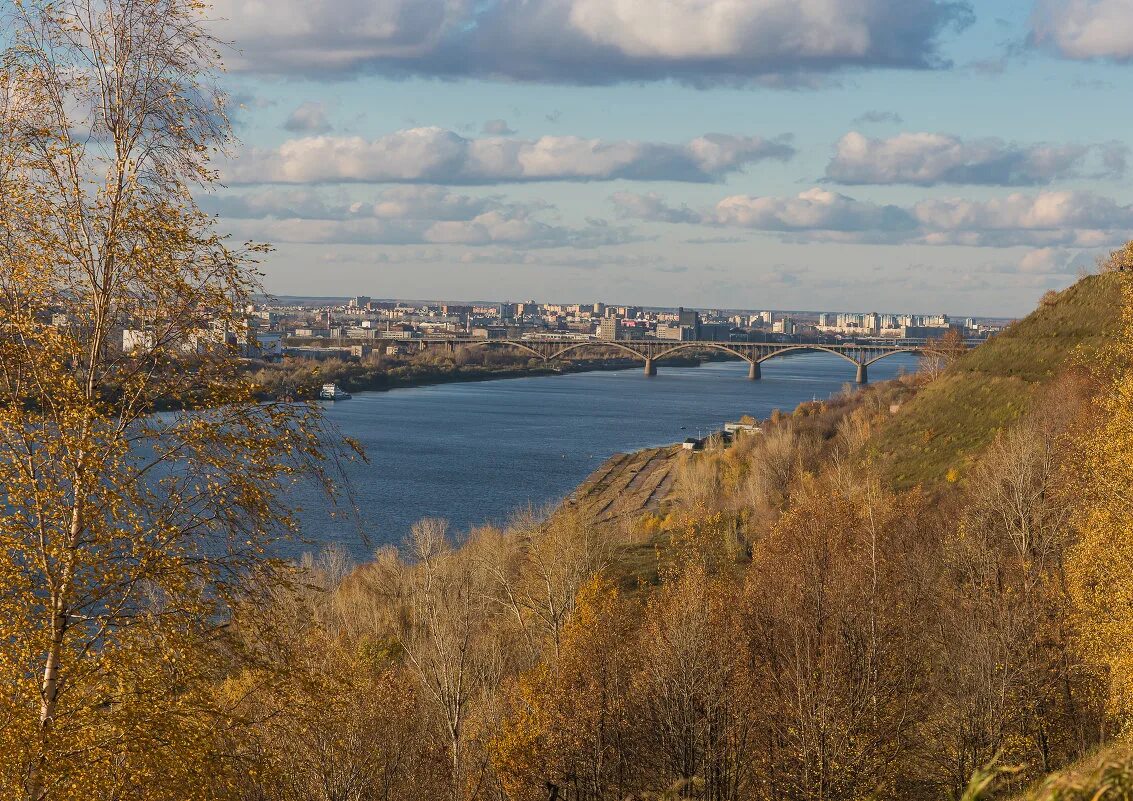 Река ока нижний новгород фото Н.Новгород. Вид на Молитовский мост. Река "Ока". :: Максим Баранцев - Социальная