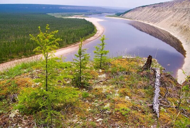 Река оленек фото Могучая река Оленек: виды и пейзажи Природные истории Фотогалерея природы на dia