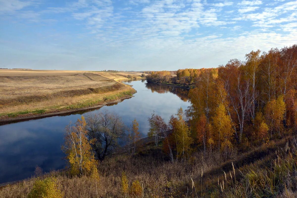 Река омь фото Река Омь Марийские Лесоходы