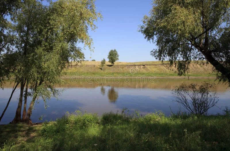 Река омь фото River Om. stock image. Image of siberia, trees, plants - 16158257