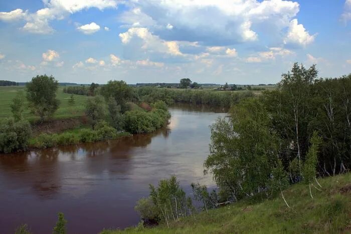 Река омь фото Уровень воды в реке Омь снизился на 39 сантиметров Куйбышевский муниципальный ра