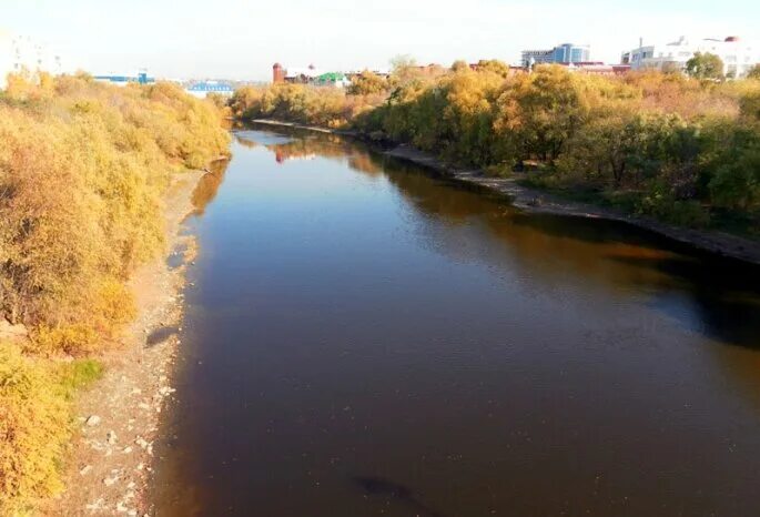 Река омь фото Через Омь могут сделать пешеходный мостик Новый Омск Дзен