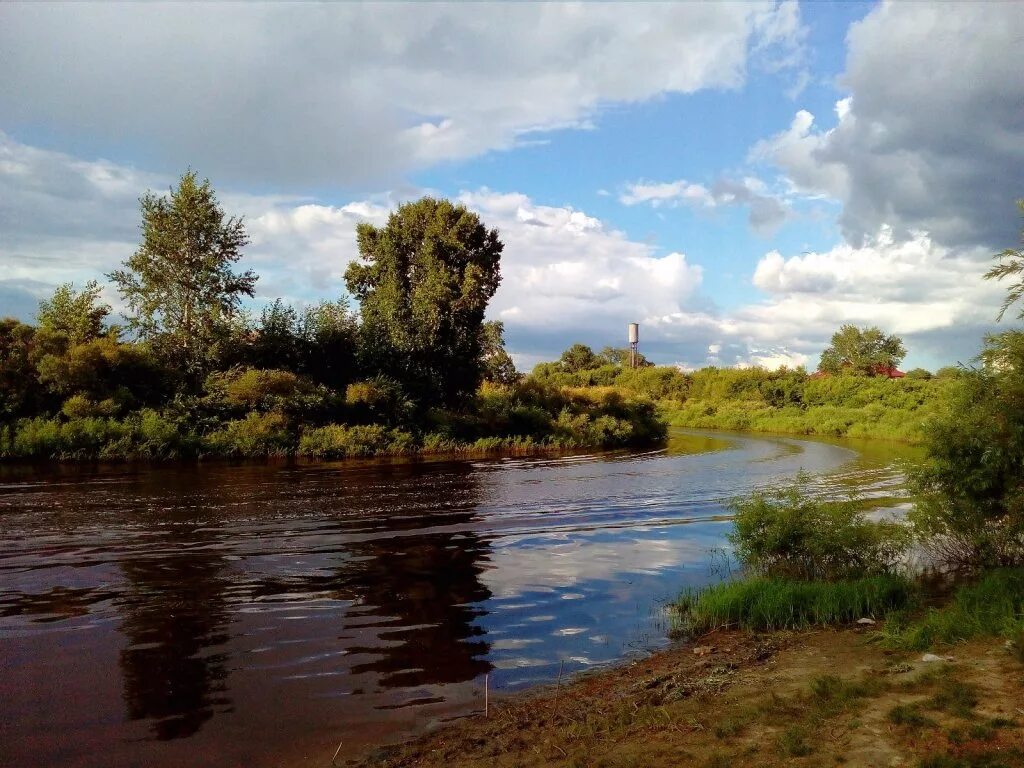 Река омь фото Р. Омь колышется - фото.