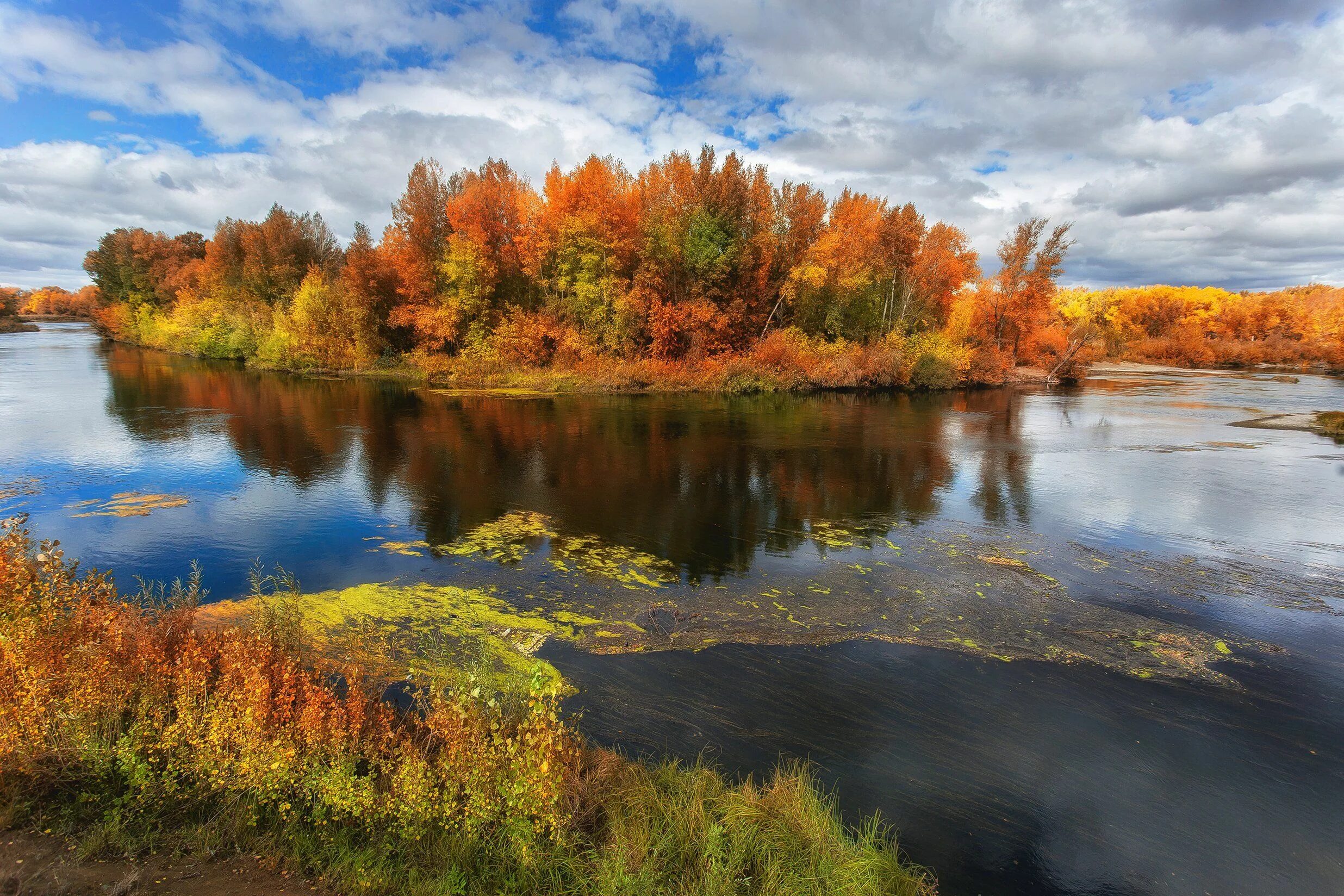 Река осенью в сибири фото Рыжий лес. Photographer Sagaidak Pavel