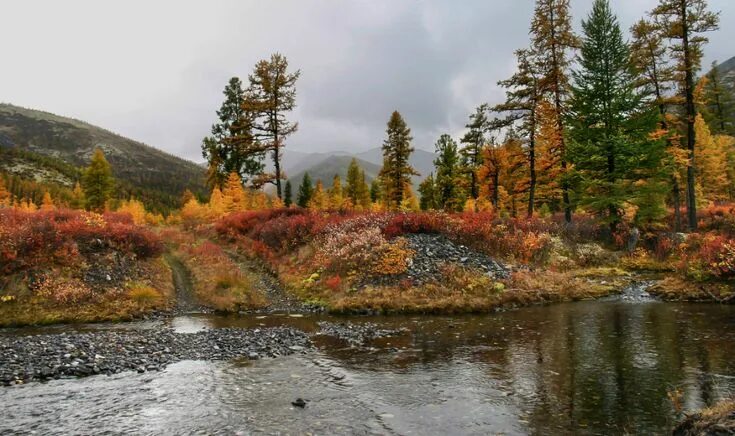 Река осенью в сибири фото По таёжной долине. Фотосайт СуперСнимки.Ру Северное Прибайкалье, расцвела осення