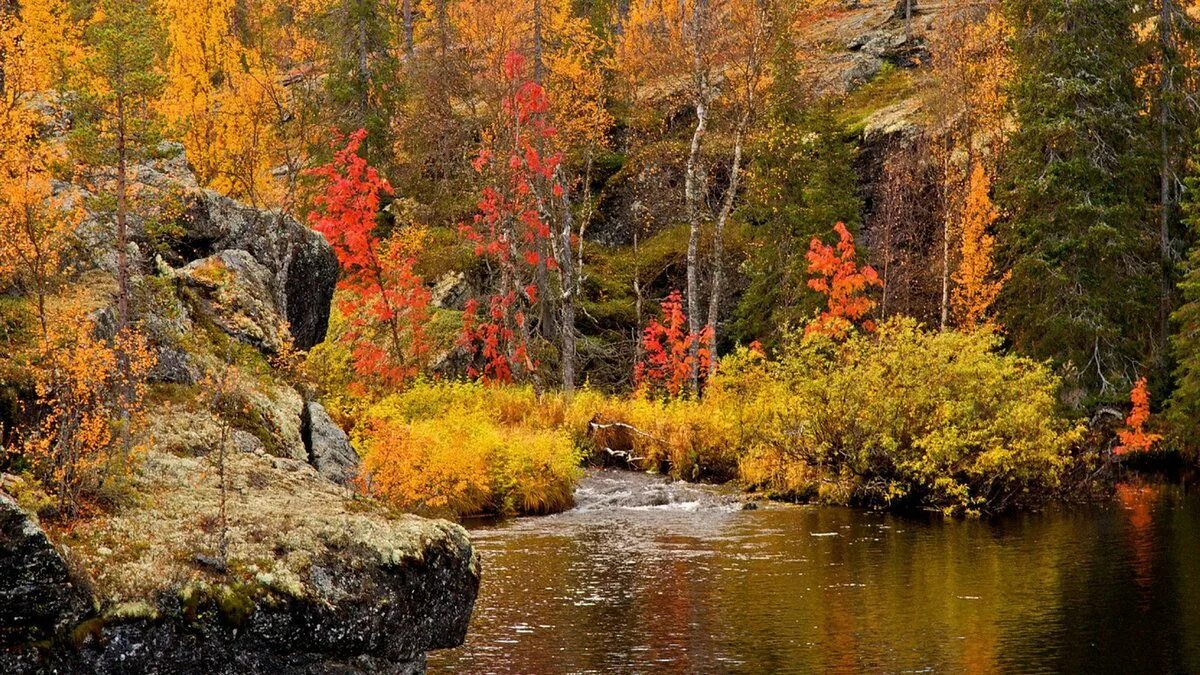 Река осенью в сибири фото Пин на доске PAYSAGES ET NATURE