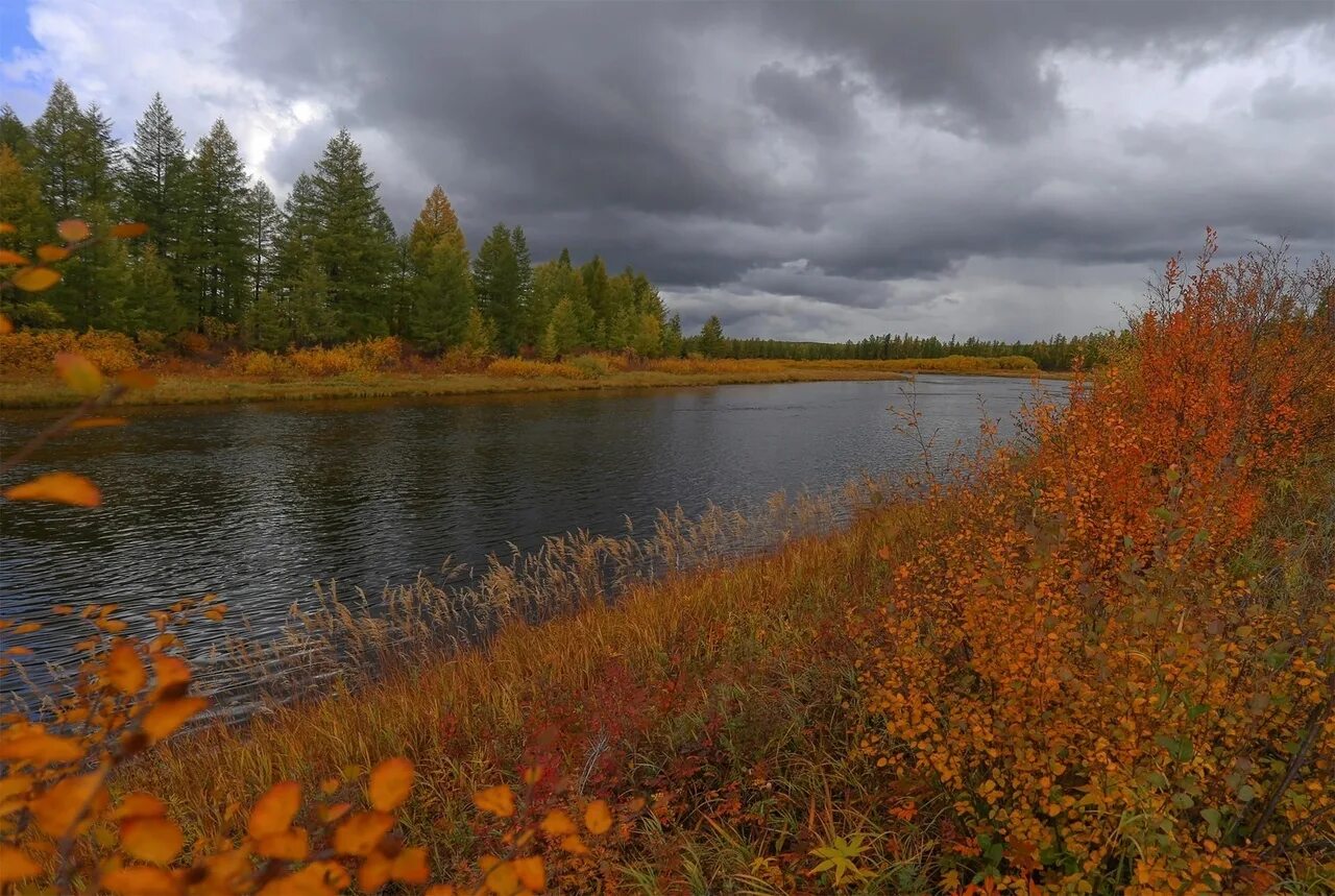 Река осенью в сибири фото Нерюнгри Евгения Левина #РеспубликаСахаЯкутия 2023 Республика Саха (Якутия) ВКон