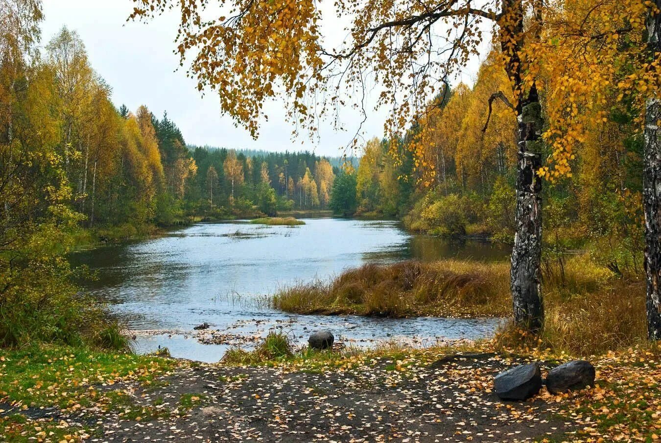 Река осенью в сибири фото Конкурс "О земле мне близкой и любимой" 2021, Белохолуницкий район - дата и мест