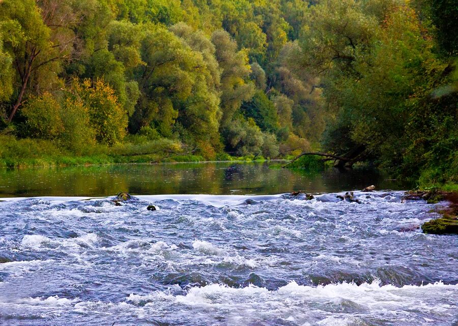 Река осетр фото Река осетр река ока