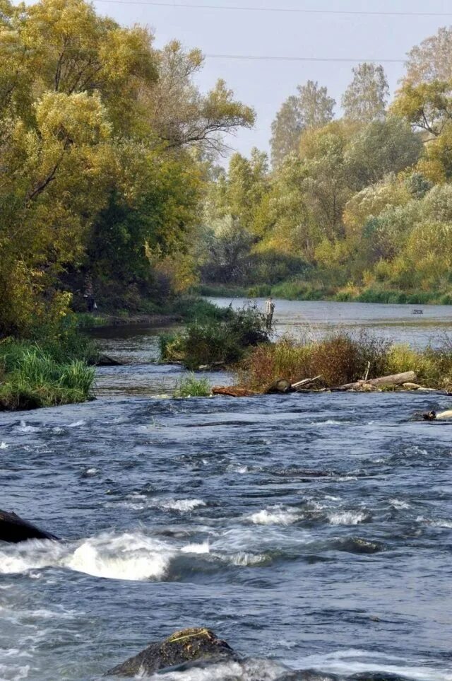 Река осетр фото Однодневный пеший поход вдоль Осетра Saraisk