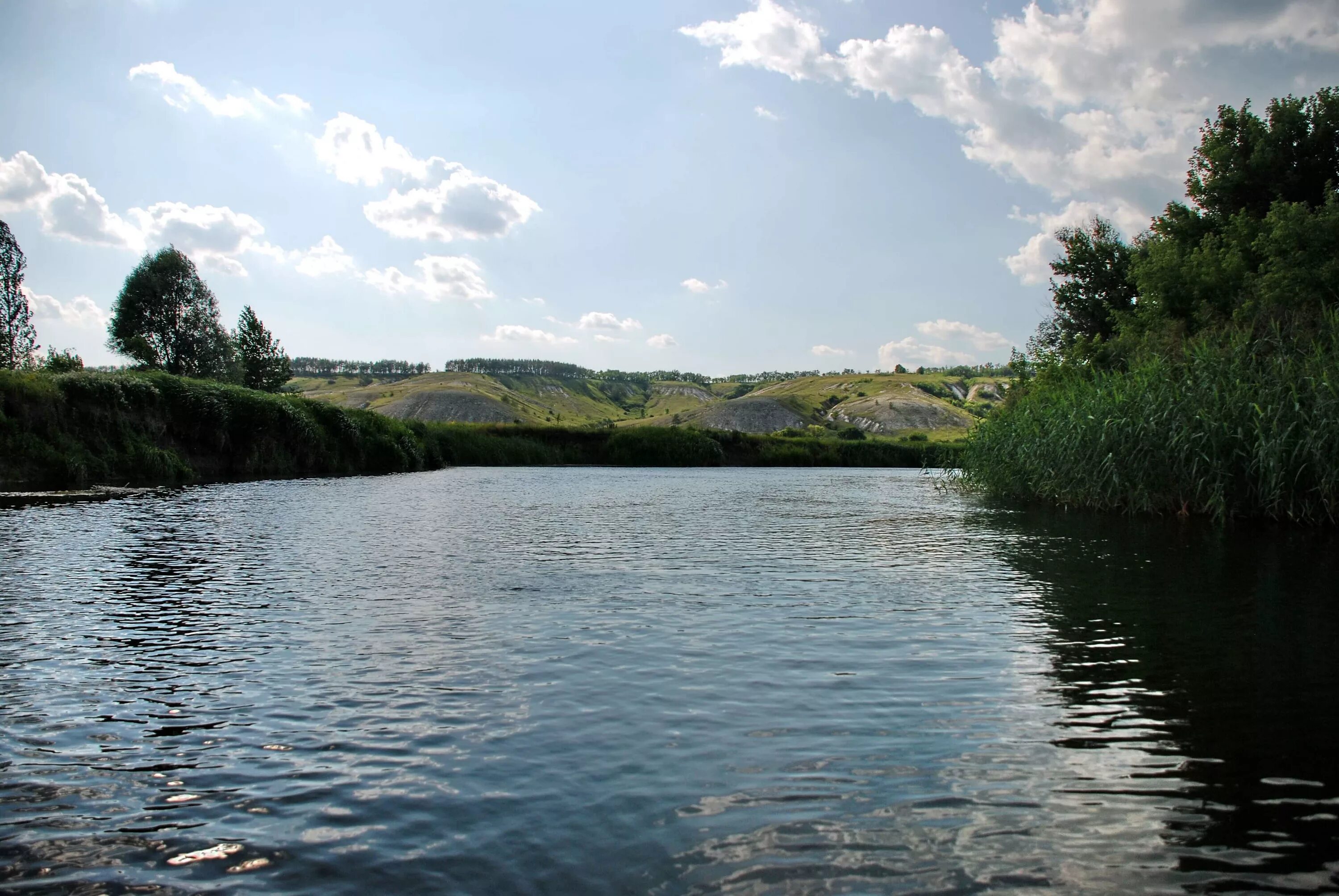 Река оскол фото The Oskol River in June 2011 Topoli - Kupyansk