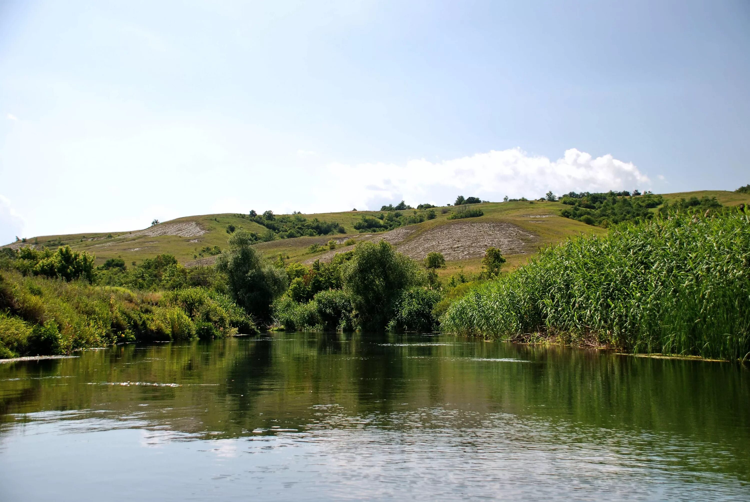 Река оскол фото The Oskol River in June 2011 Topoli - Kupyansk