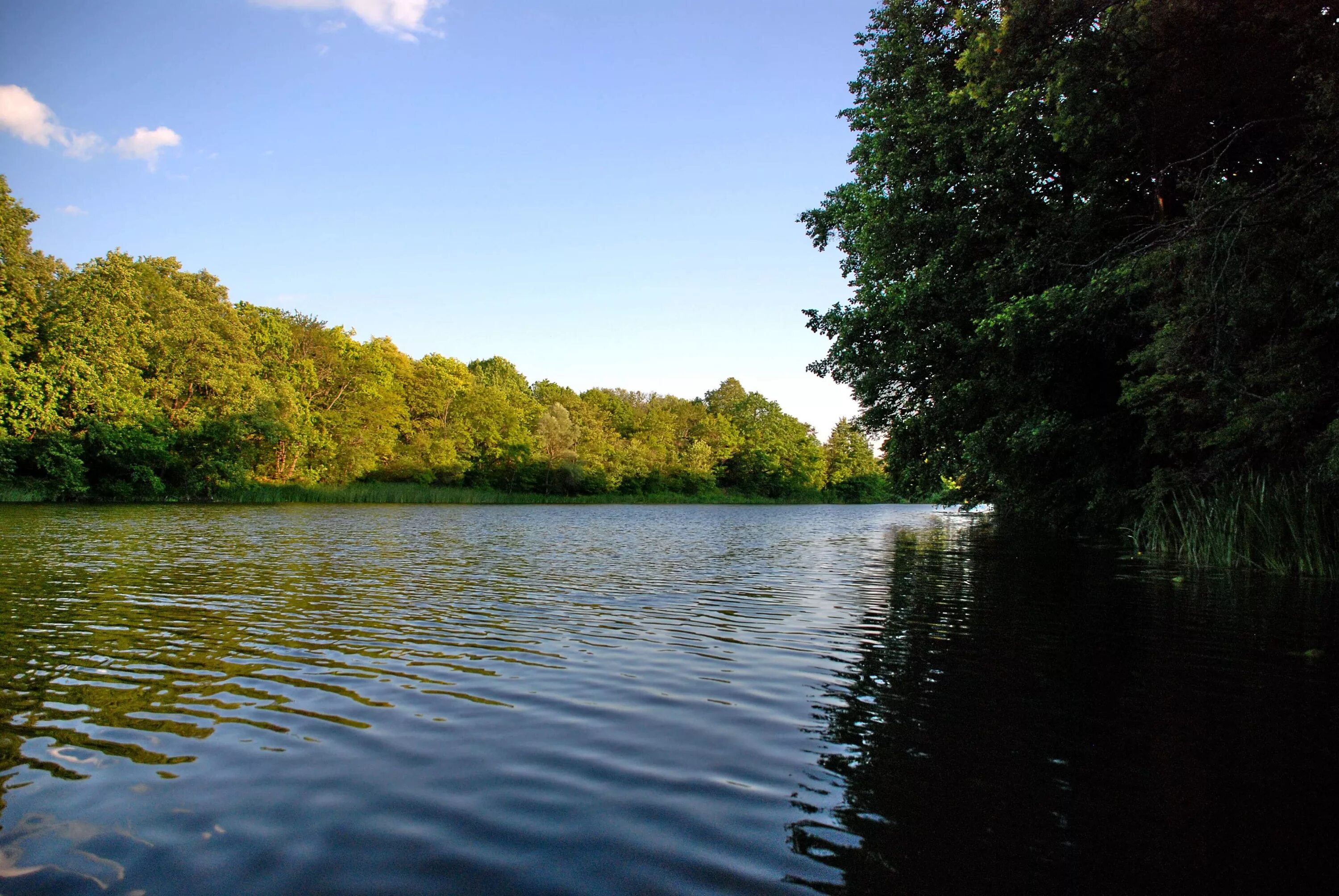 Река оскол фото The Oskol River in June 2011 Topoli - Kupyansk