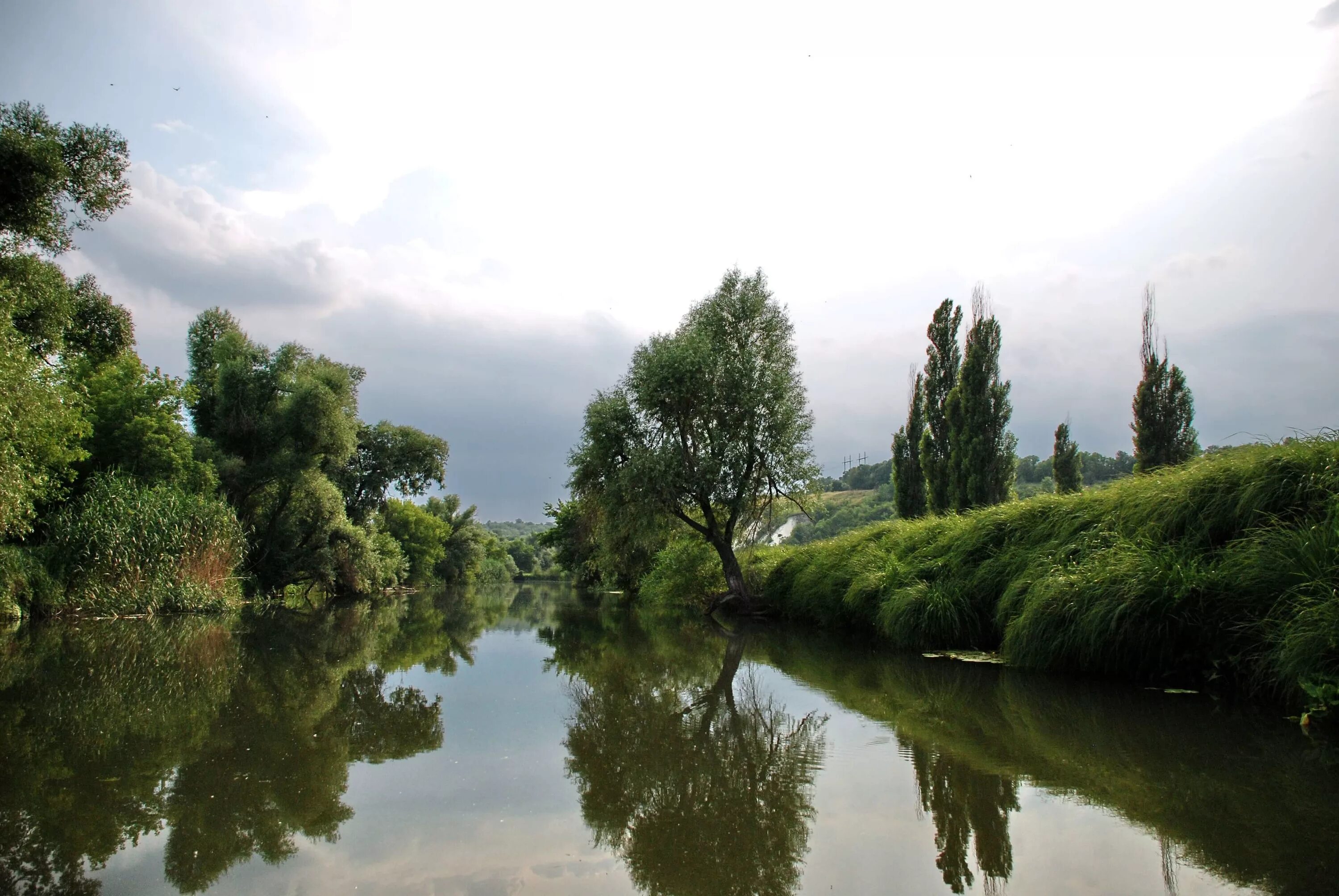 Река оскол фото The Oskol River in June 2011 Topoli - Kupyansk