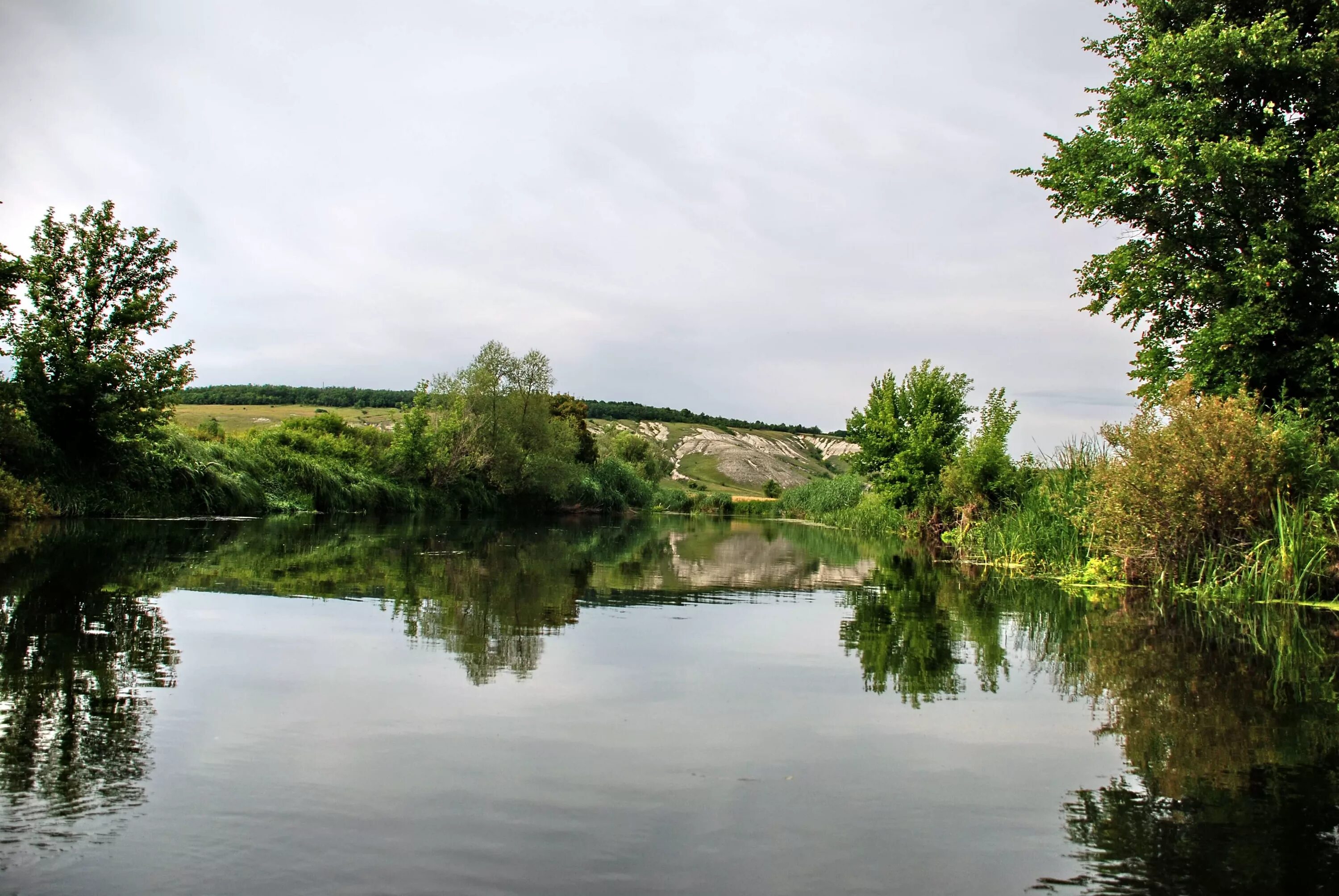 Река оскол фото The Oskol River in June 2011 Topoli - Kupyansk