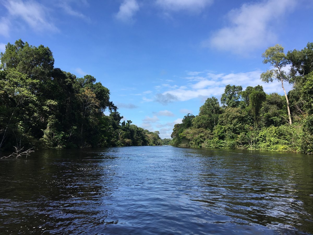 Река отзывы фото Amazon River, Икитос: лучшие советы перед посещением - Tripadvisor