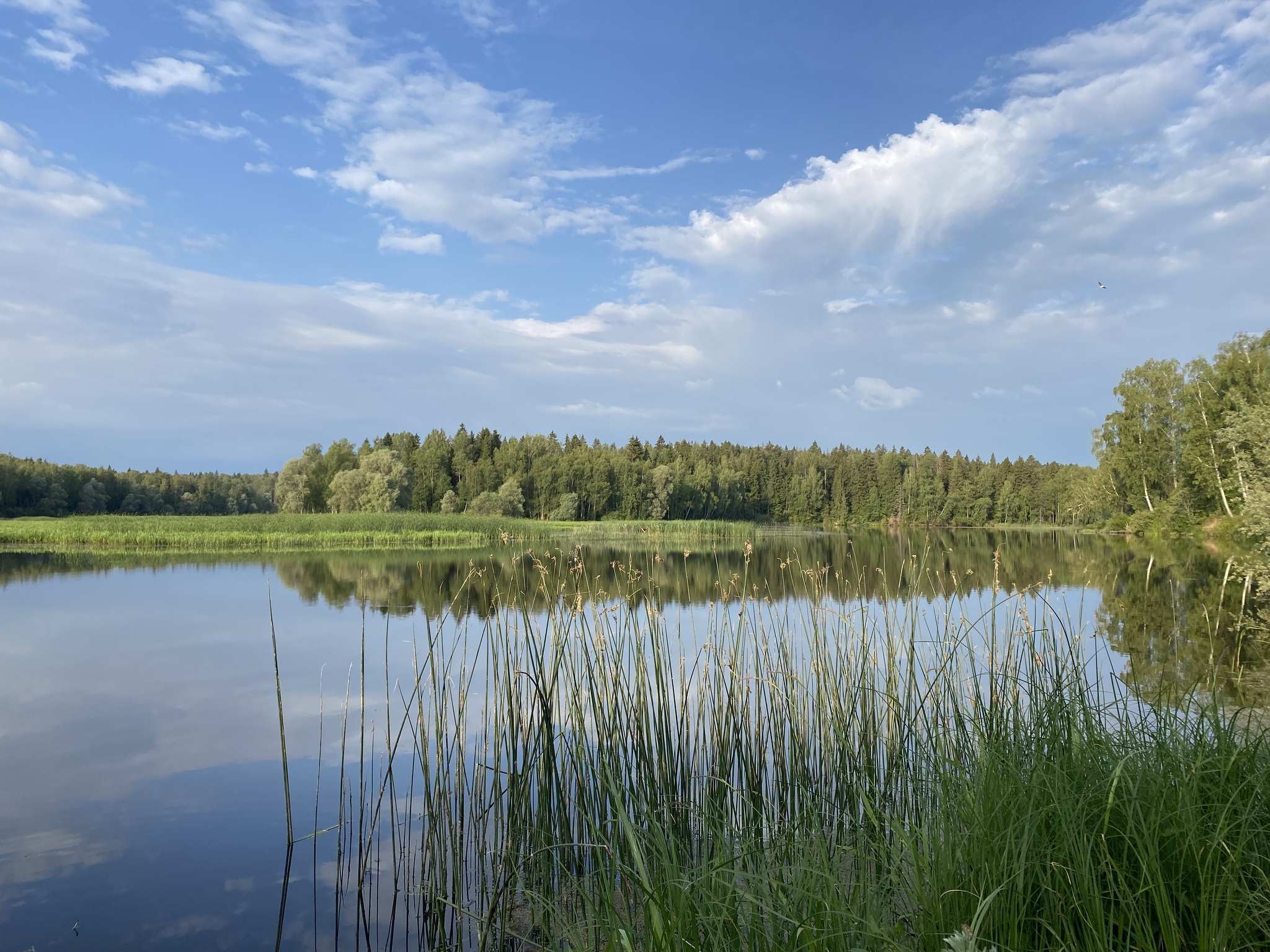 Река озерна фото Иваньковское водохранилище на карте 58 фото Ast-Ohota.ru