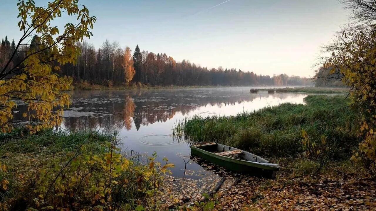 Река озерна фото Les rossii - купить по низкой цене на Яндекс Маркете