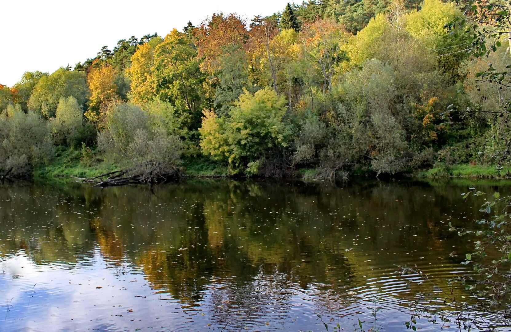 Река пахра фото Фото река Пахра в Подольске на фотохостинге Fotoload