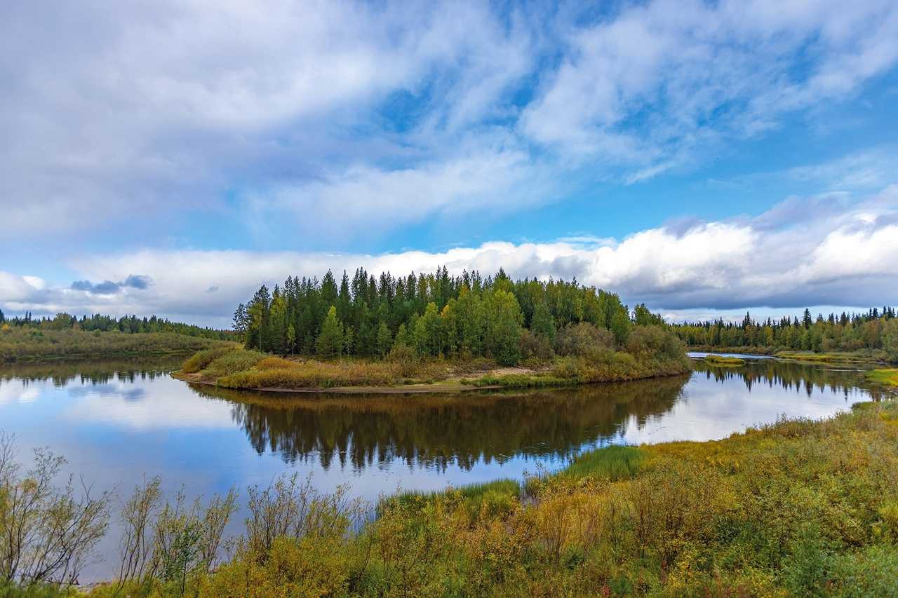 Река печора фото Река печора - красавица русского севера