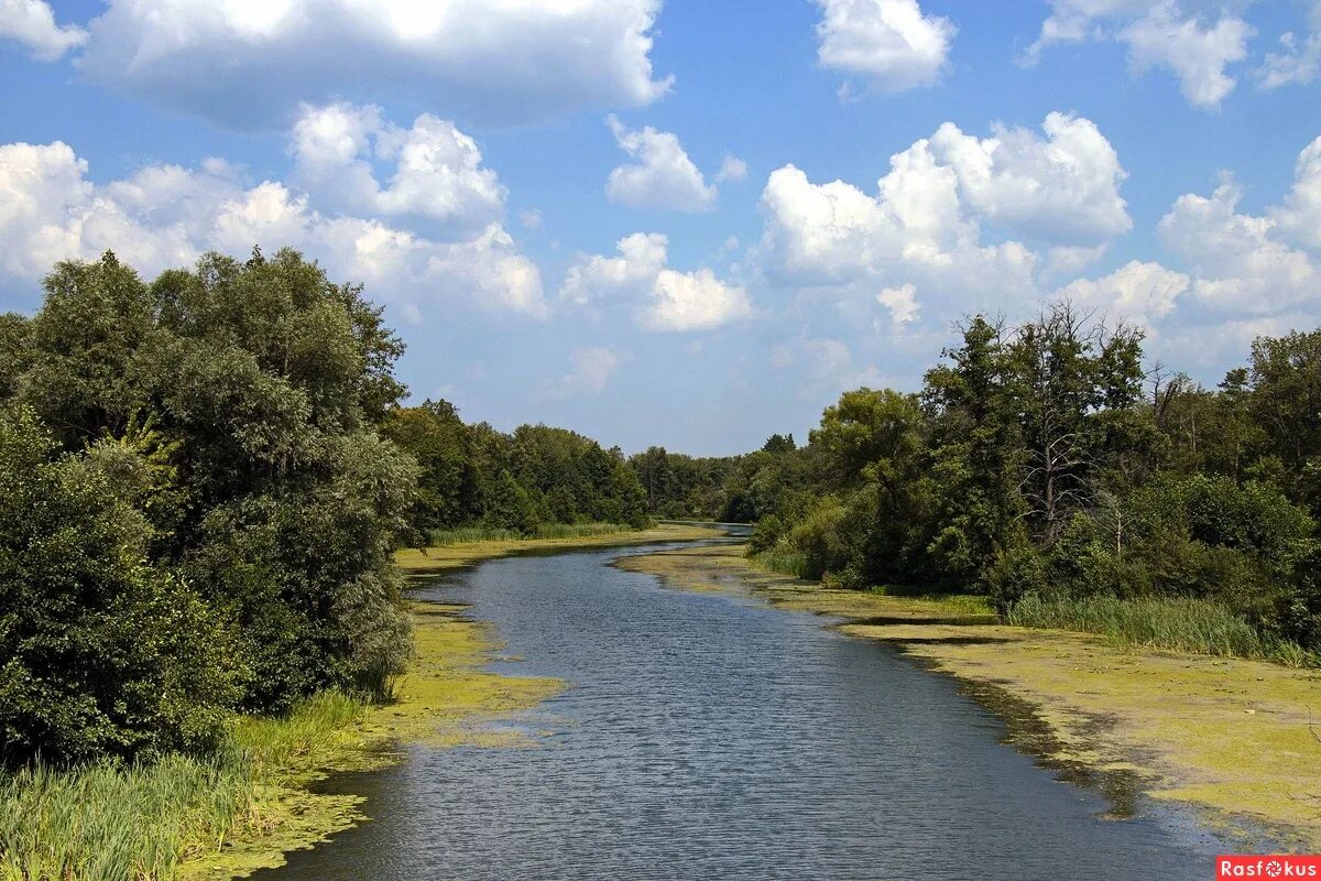 Река пенза фото Фото: Сура. Фотограф Вячеслав. Пейзаж - Фотосайт Расфокус.ру