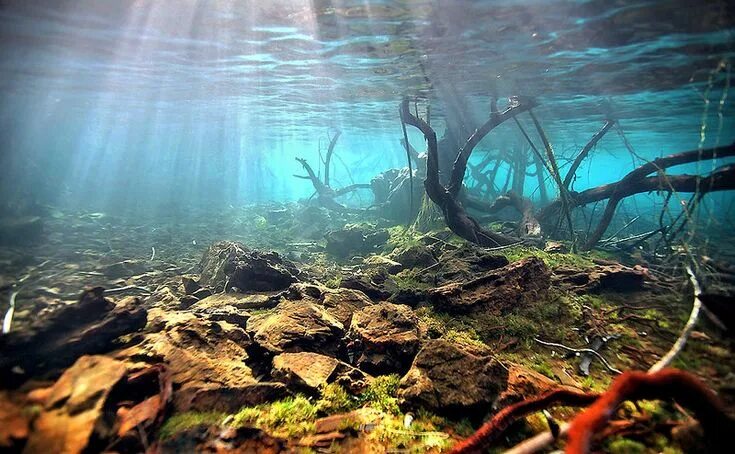 Река под водой фото IMG_0751a Aquarium landscape, Lake photography, Underwater wallpaper