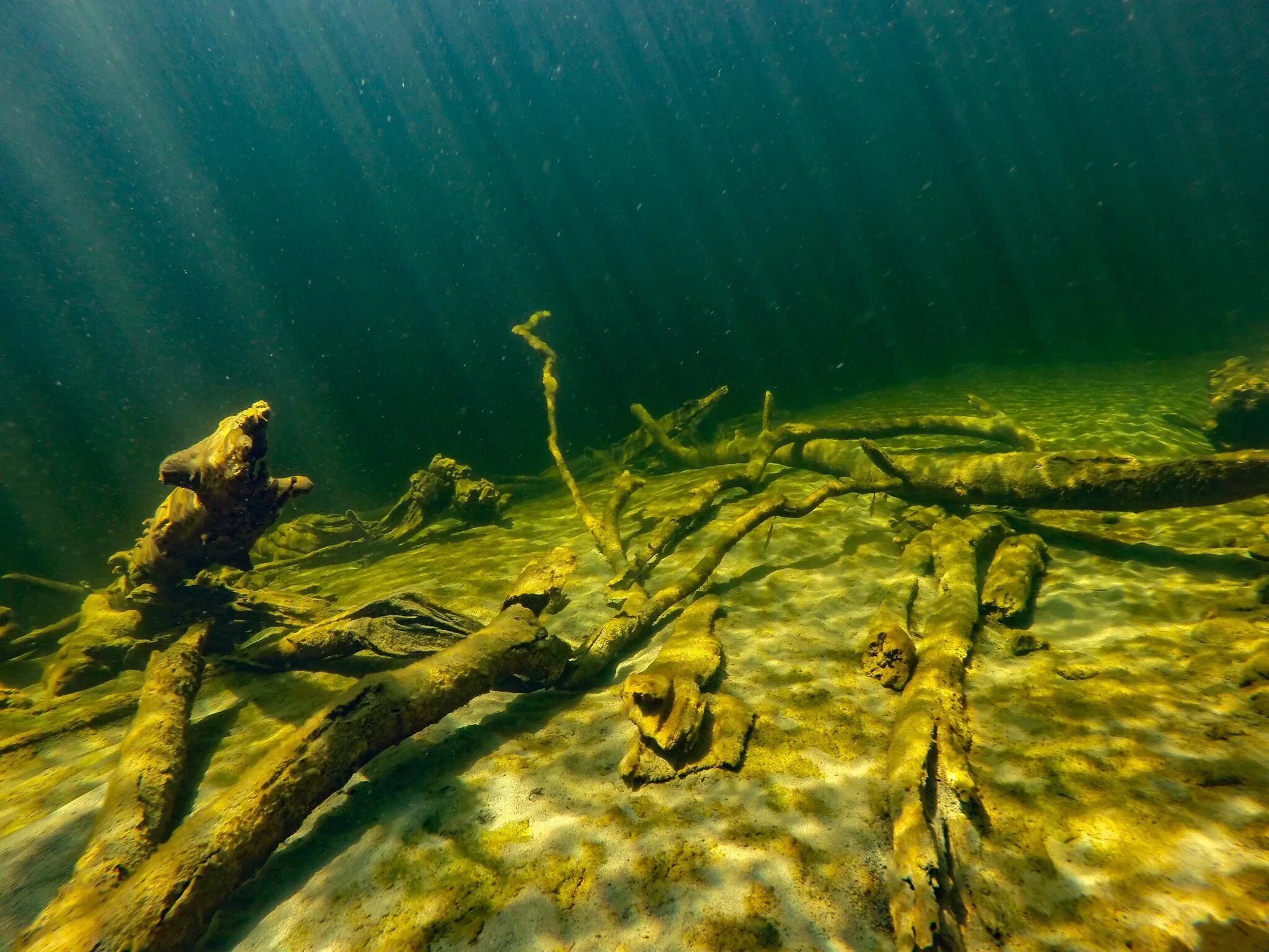 Река под водой фото Что можно увидеть под водой в разных местах на Золотом озере. Камга - Алтайский 