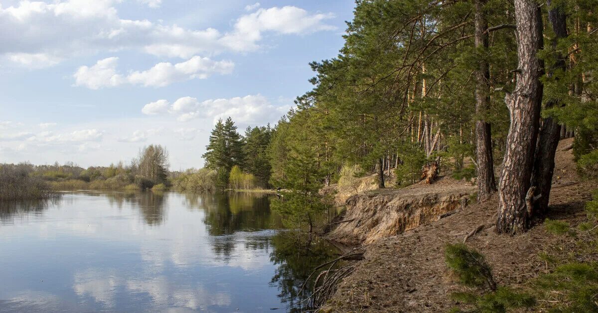 Река пра фото Река Пра в середине апреля Пикабу