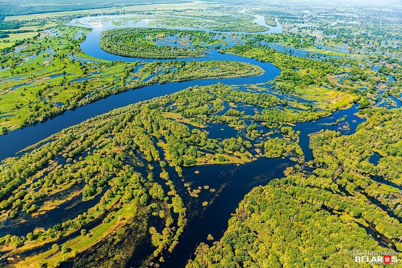 Река припять на фото Полесская Амазонка, или Как разливается река Припять Планета Беларусь