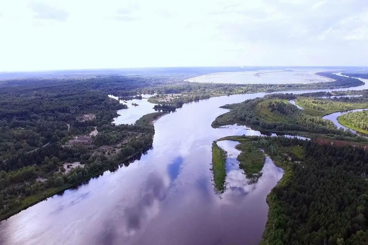 Река припять на фото Уровень воды на одной из рек Беларуси приблизился к опасной отметке. Объявлено ш