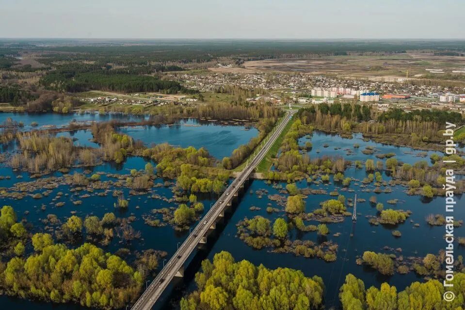 Река припять на фото Уровень реки припять мозырь