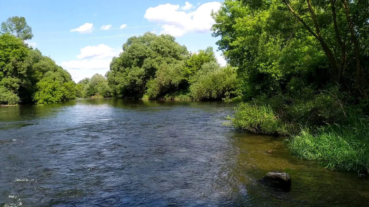 Река проня фото Река Проня,Окрестности реки у села Незнаново, Рязанская Область. Деревня - YouTu