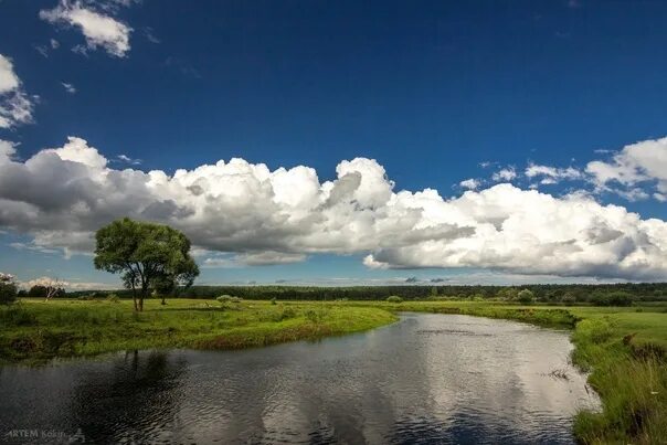 Река проня фото Про́ня - река в Рязанской и Тульской областях России, правый приток реки Оки. Дли