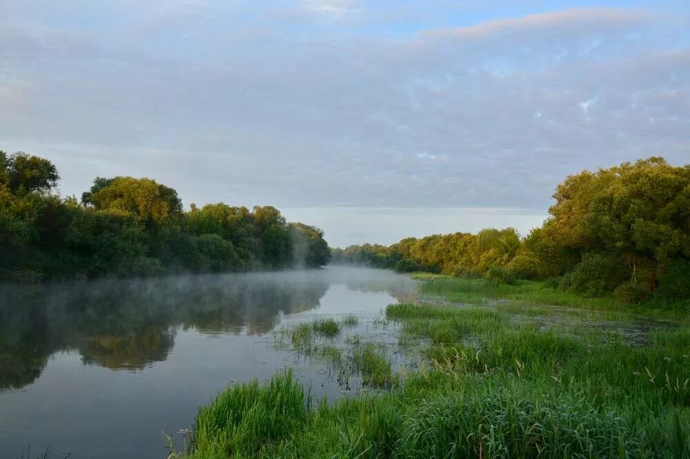 Река проня рязанской области фото Река Проня Марийские Лесоходы