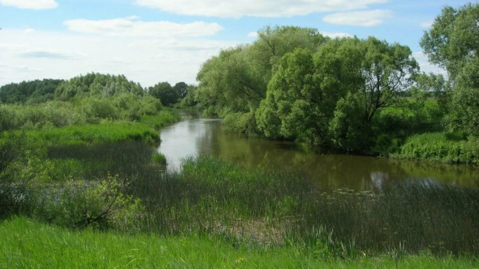 Река проня рязанской области фото Картинки РЕКА ПРОНЬ РЯЗАНСКАЯ ОБЛАСТЬ