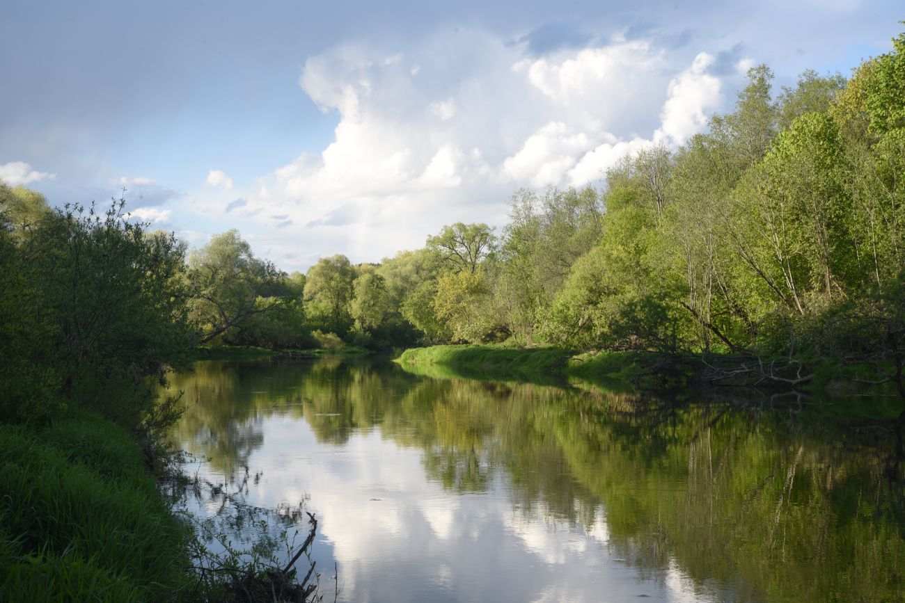 Река протва фото Река Протва напротив устья... - Окрестности устья ручья Исьма - Landscapes and h