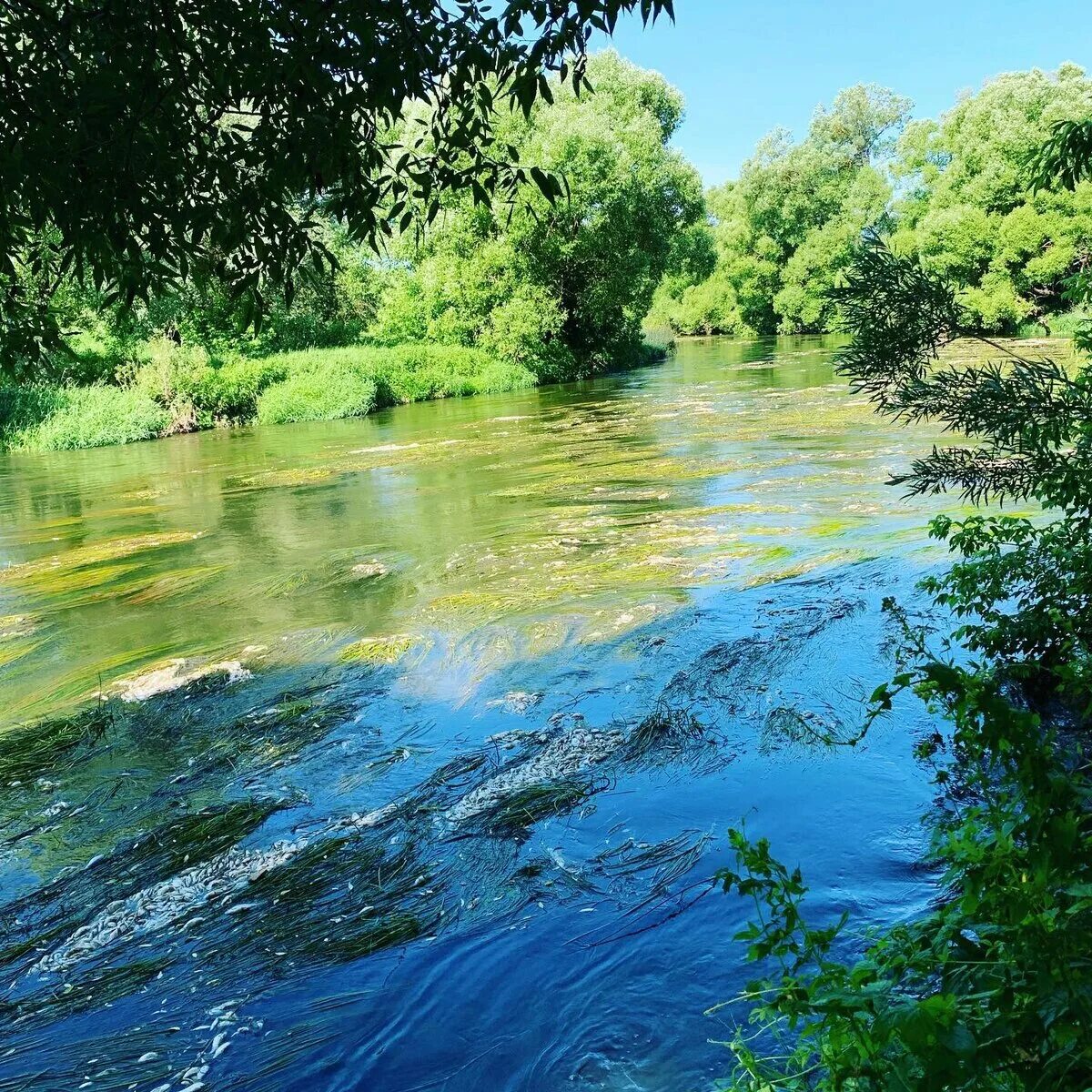 Река протва фото Река протва - блог Санатории Кавказа