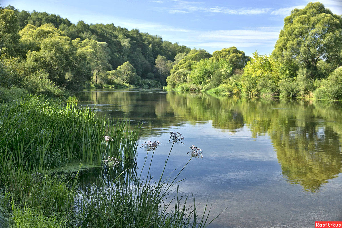 Река протва фото Фото: Издалека, долго. Фотограф Вениамин Максимовский. Пейзаж. Фотосайт Расфокус