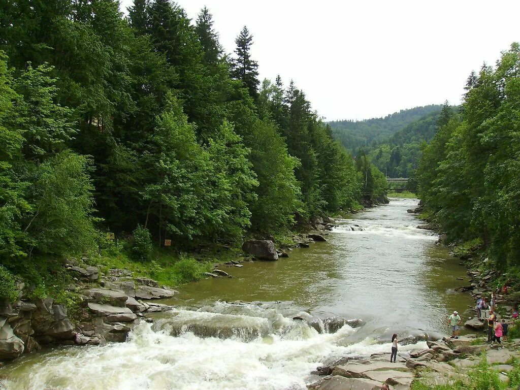 Река прут фото Река Прут в Яремче - Фотография - Пейзажи