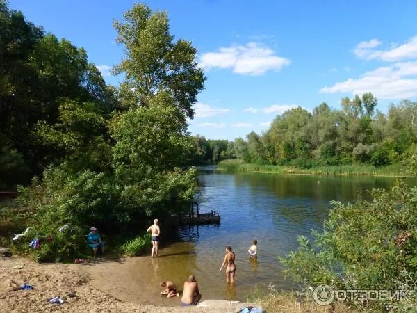 Река псел фото Отзыв о Река Псел (Украина, Дзюбовщина) Не только Дзюбовщиной славен Псёл!