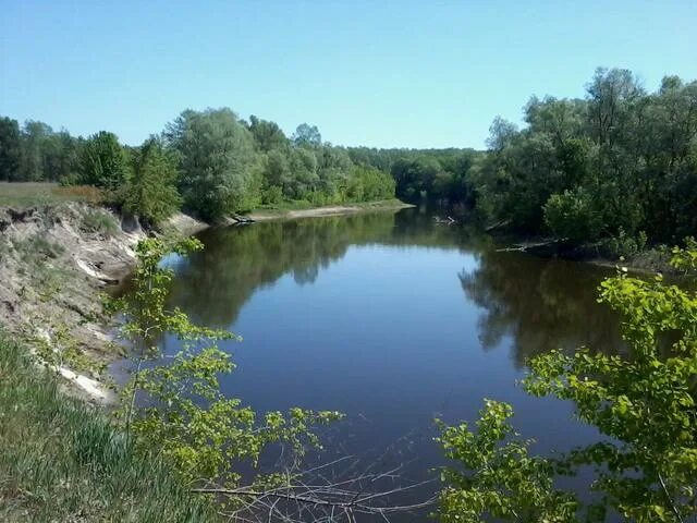 Река псел фото Место поэтическое.". Где берёт начало река Псёл. БелПресса