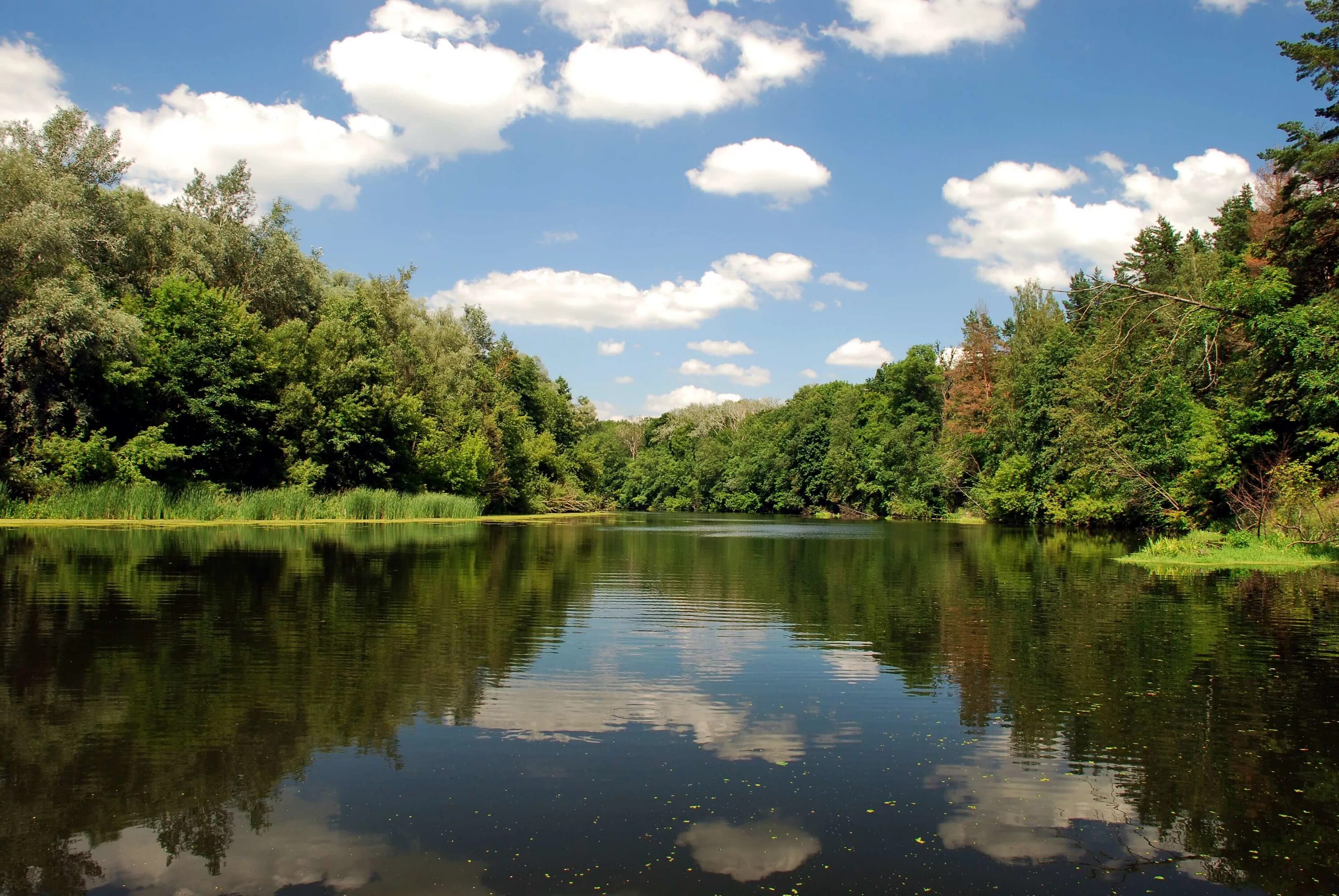 Река псел фото he Pshel River in July 2008 Sumy - Gadyach