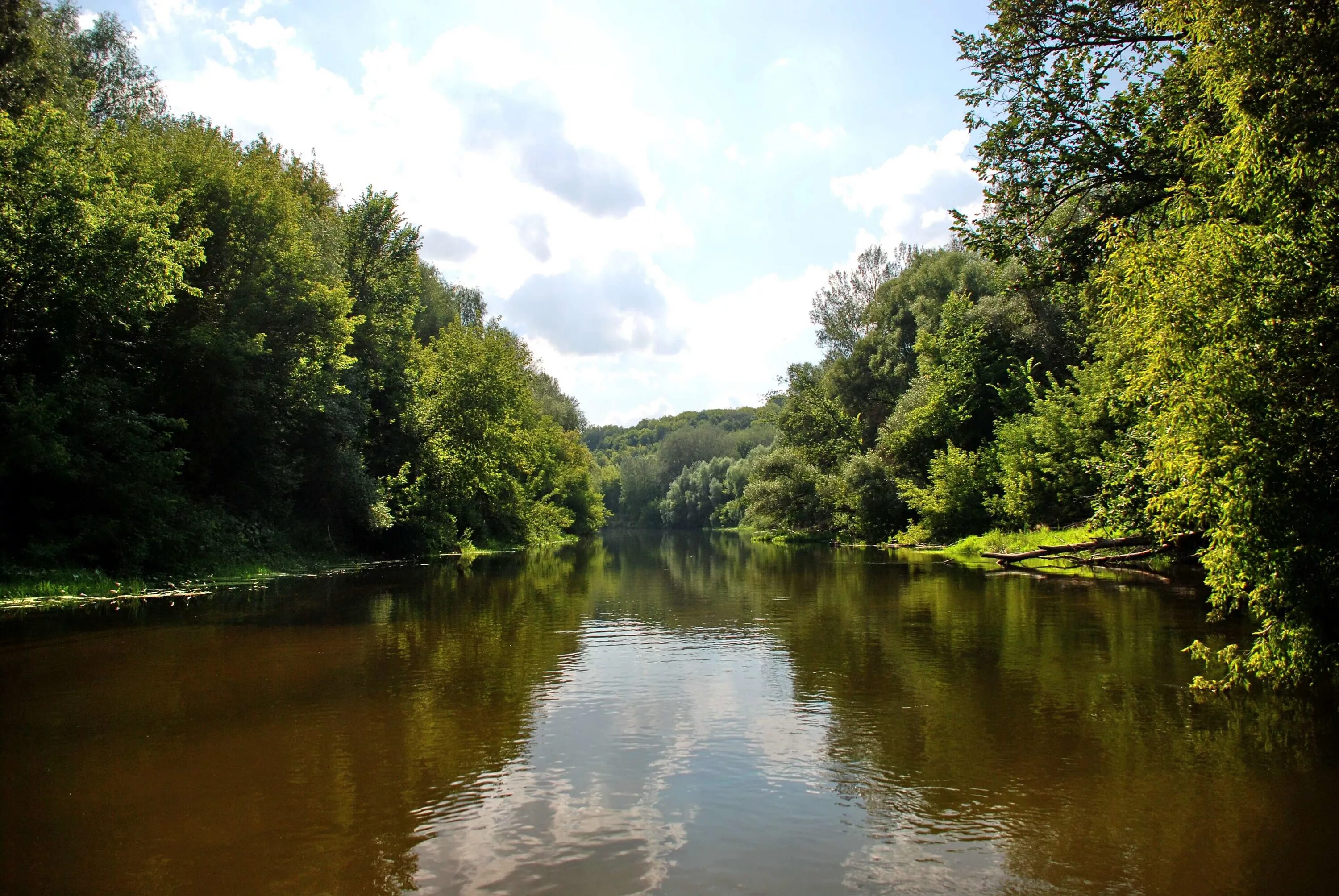 Река псел фото he Pshel River in July 2008 Sumy - Gadyach