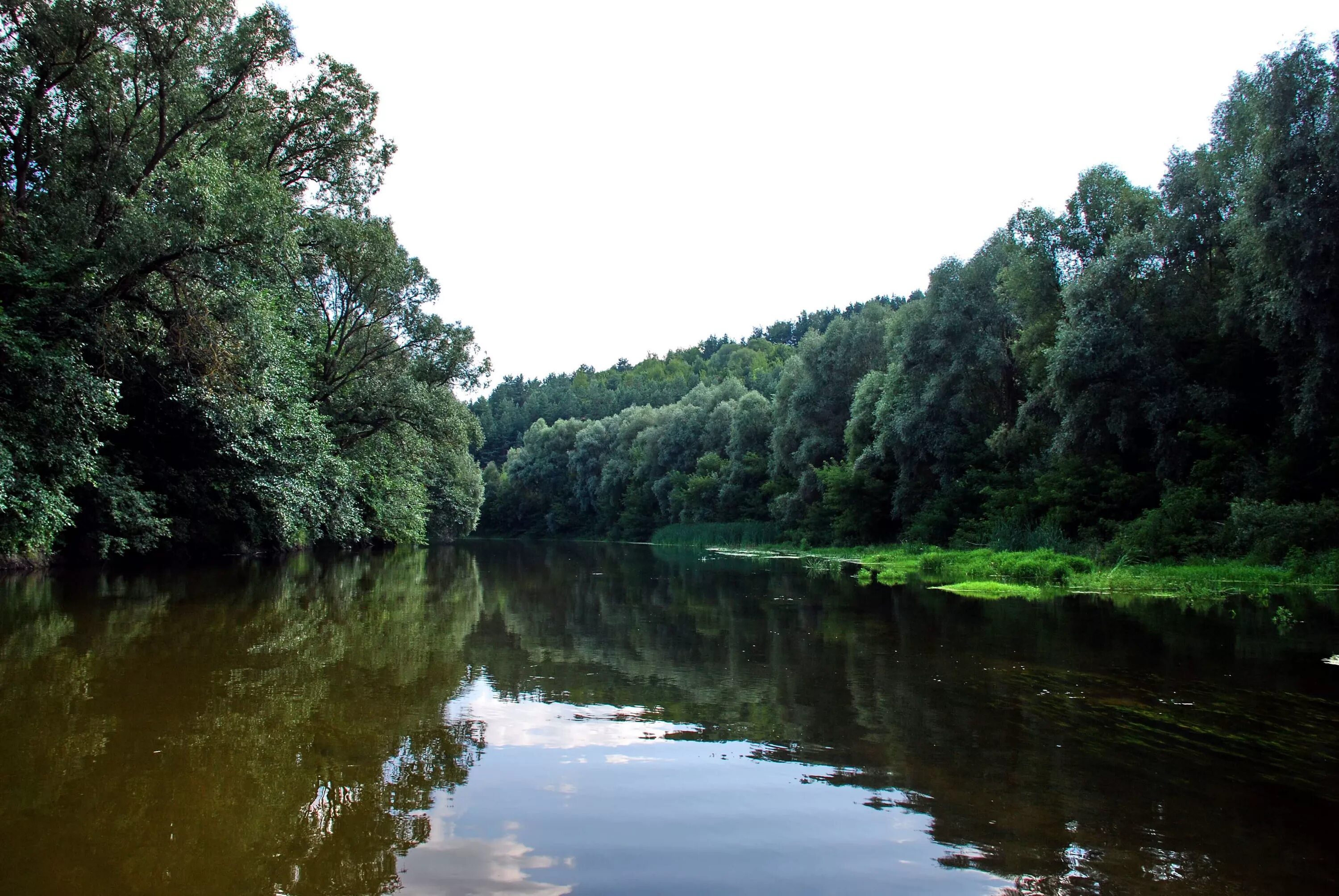 Река псел фото he Pshel River in July 2008 Sumy - Gadyach