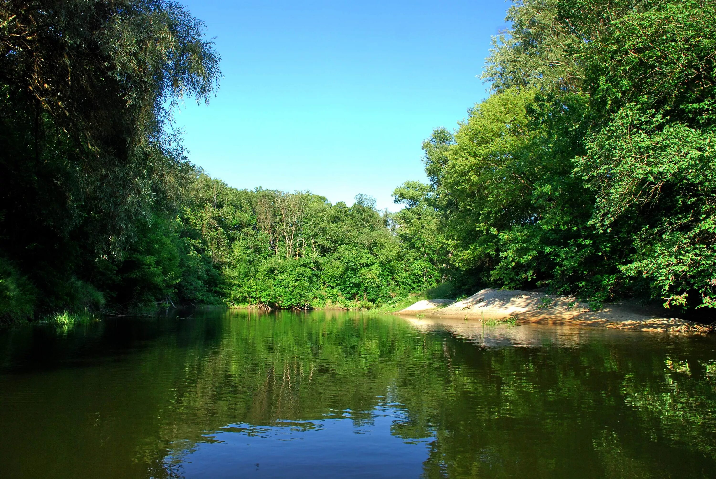 Река псел фото he Pshel River in July 2008 Sumy - Gadyach