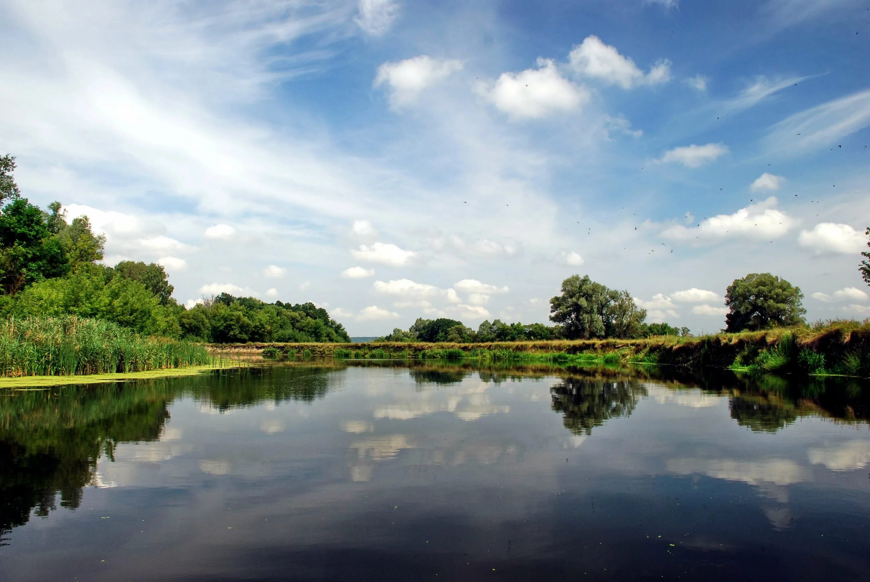 Река псел фото he Pshel River in July 2008 Sumy - Gadyach