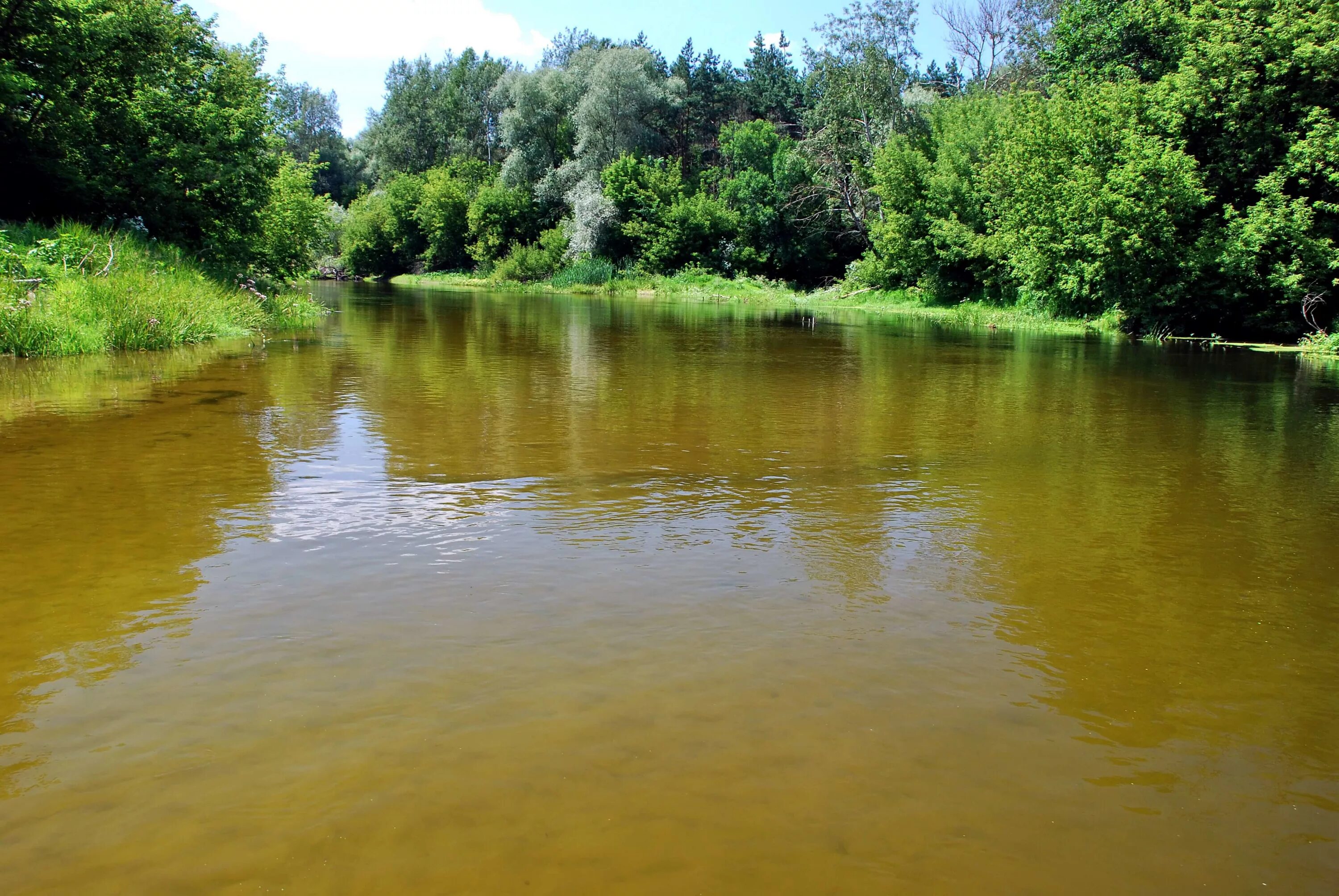 Река псел фото he Pshel River in July 2008 Sumy - Gadyach