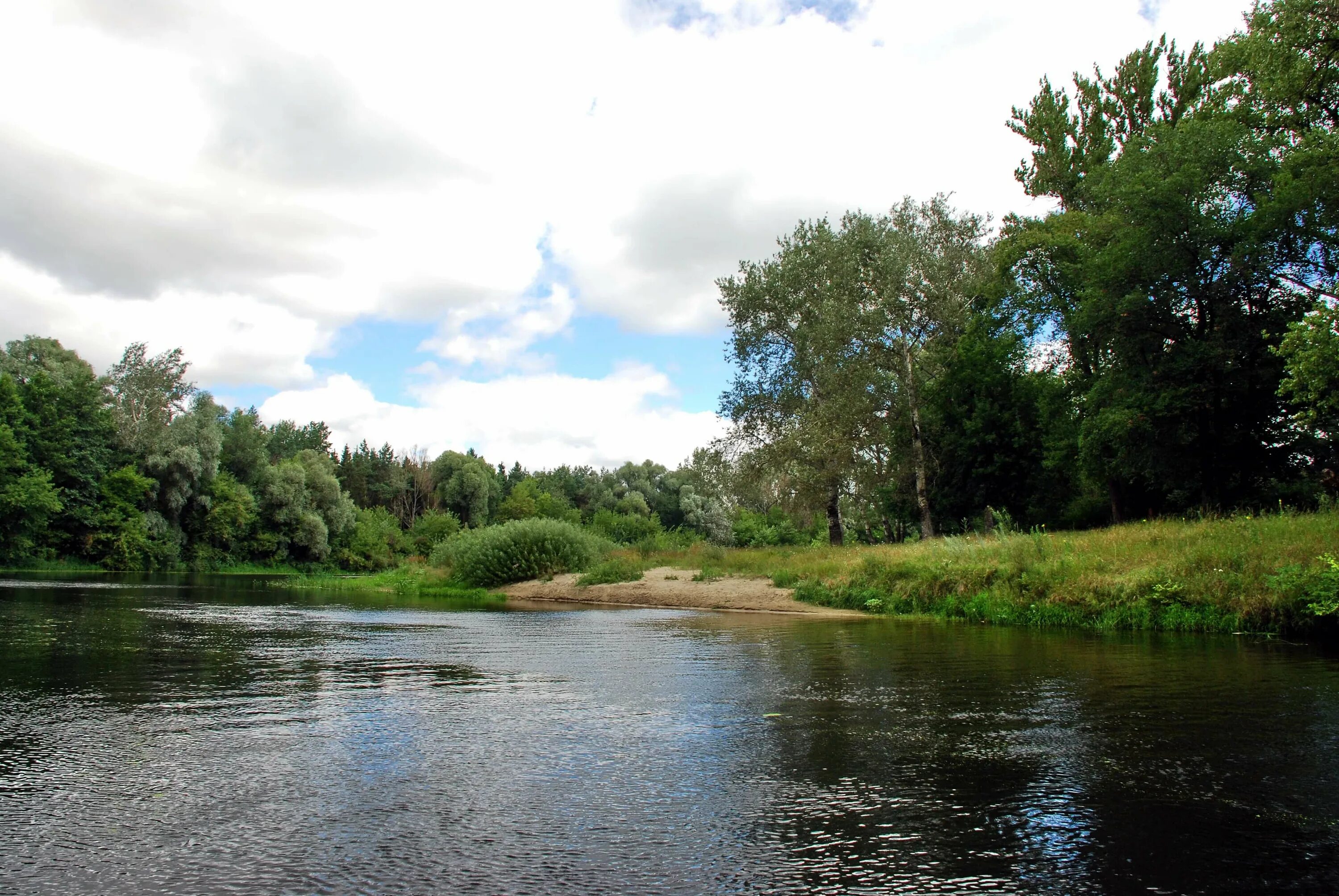 Река псел фото he Pshel River in July 2008 Sumy - Gadyach